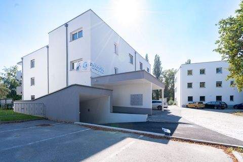 Nettingsdorf Wohnungen, Nettingsdorf Wohnung kaufen