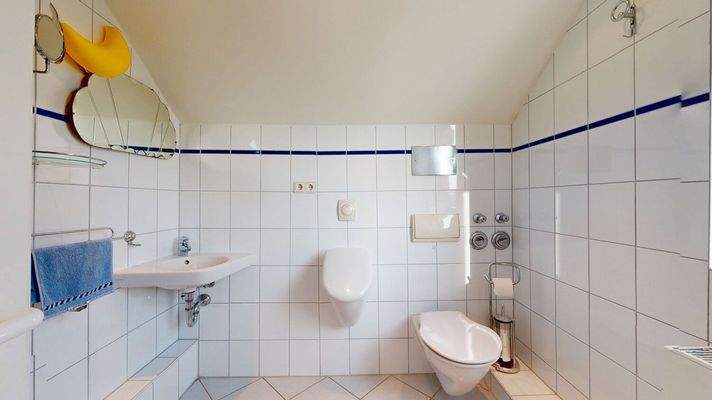 Tageslichtbad Spitzboden