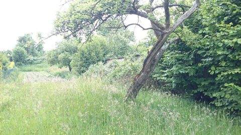 Gunzenhausen-Frickenfelden Grundstücke, Gunzenhausen-Frickenfelden Grundstück kaufen