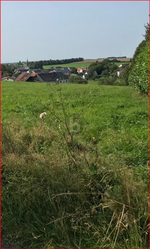 Seinsfeld Grundstücke, Seinsfeld Grundstück kaufen