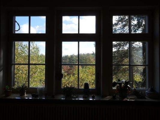  EG | Fenster-Aussicht vom WOHNSALON