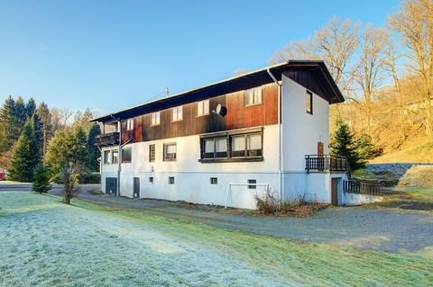 Birken-Honigsessen Halle, Birken-Honigsessen Hallenfläche
