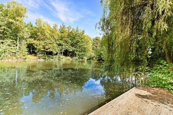 Außenansicht und Garten