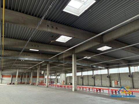 Straubing Halle, Straubing Hallenfläche