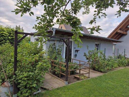 Garage/Hintereingang Garten