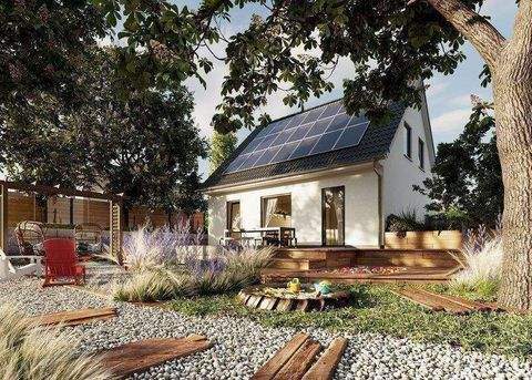 Peine Häuser, Peine Haus kaufen