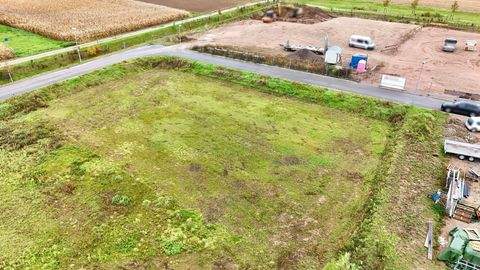 Ettenheim Industrieflächen, Lagerflächen, Produktionshalle, Serviceflächen