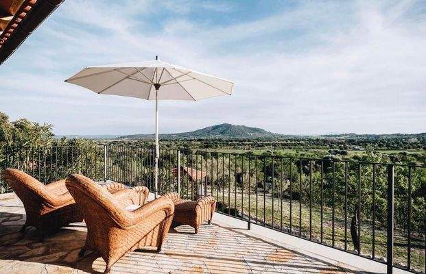 WhatsApp Image 2025-08-19 at 21.22.14n