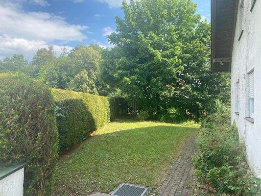 Image - 2025-07-08T131739.549.jpg