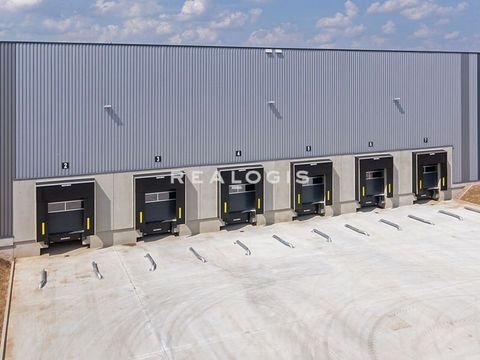 Gelsenkirchen Halle, Gelsenkirchen Hallenfläche