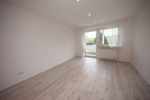 Langewiesen Wohnungen, Langewiesen Wohnung mieten