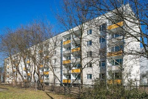 Dresden Wohnungen, Dresden Wohnung mieten