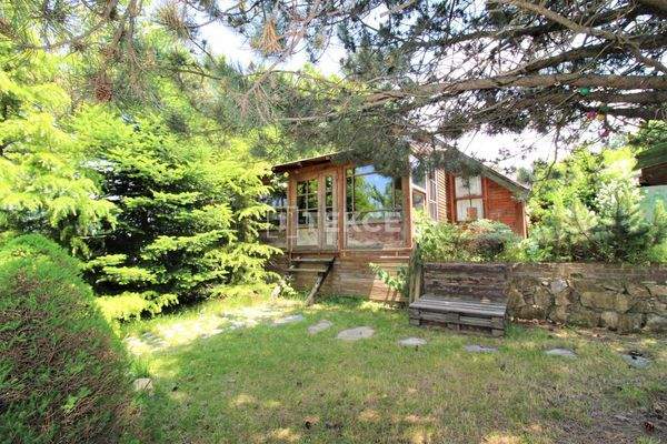 Detached Homes Intertwined with Nature on Uludag Road in Bursa