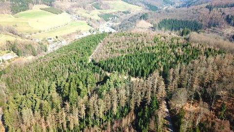 Lüdenscheid Bauernhöfe, Landwirtschaft, Lüdenscheid Forstwirtschaft