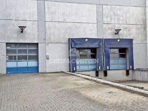 Dormagen Halle, Dormagen Hallenfläche