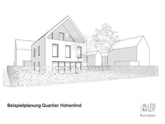 Beispielplanung EFH Quartier Hohenlind