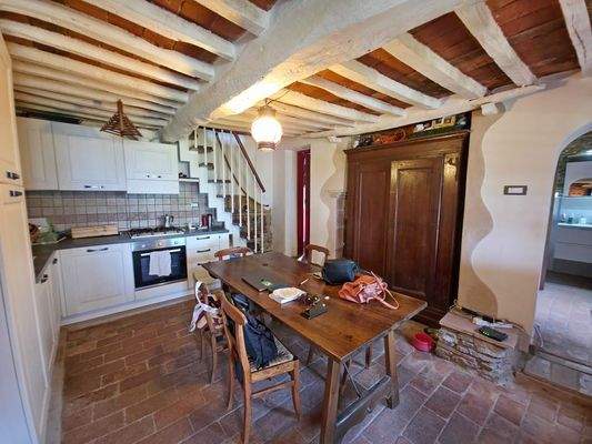 20250826_110833 - 1K JPEG.jpg