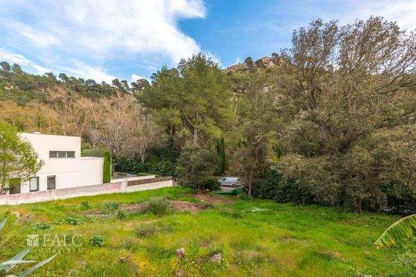 grundstueck-cala-san-vicente-7