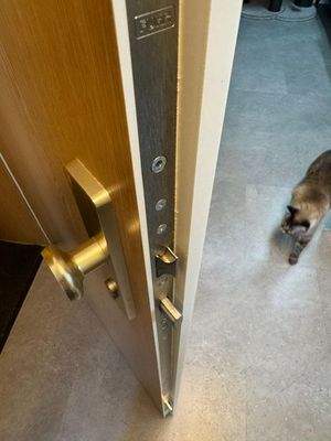 Hochwertige Eingangstüre