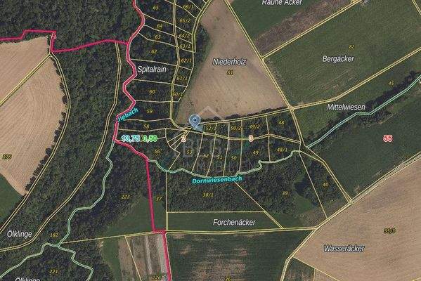 Flurstück 54-1