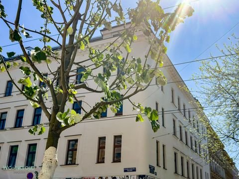 Wien Ladenlokale, Ladenflächen 