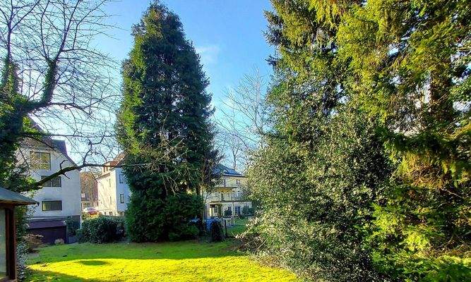 Rückansicht und Nachbargarten