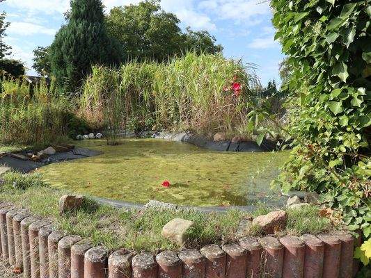 Gartenteich.JPG
