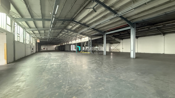 Telefon: 069 50699990