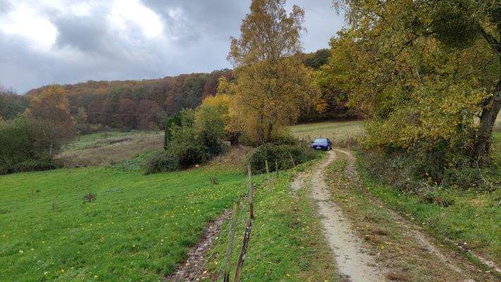 Fahrweg zum Pferdeunterstand.jpg