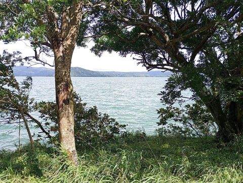 Tronadora Tilaran Häuser, Tronadora Tilaran Haus kaufen