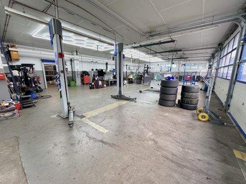 Ransbach-Baumbach Halle, Ransbach-Baumbach Hallenfläche