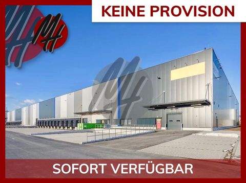 Essen Halle, Essen Hallenfläche