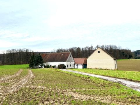 Borgholzhausen Häuser, Borgholzhausen Haus kaufen