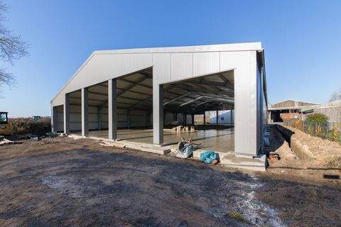 Dörphof Halle, Dörphof Hallenfläche