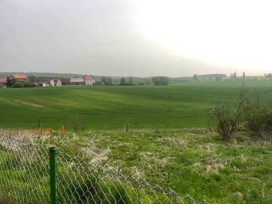 Ausblick Garten