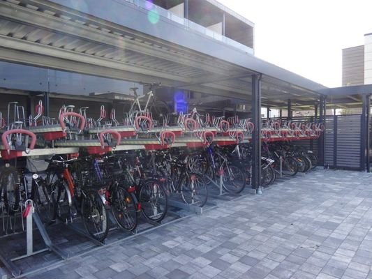 Radfahren vitalisiert und fördert Glücksgefühle