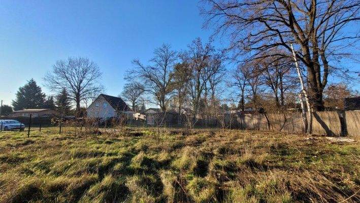 Baugrundstück - Blick zur Straße