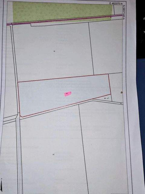 Drebber Bauernhöfe, Landwirtschaft, Drebber Forstwirtschaft