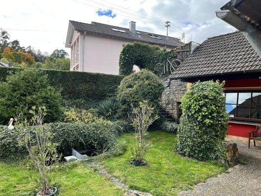 Viel grün, gepflegter Garten mit Sträuchern und Rasenfläche