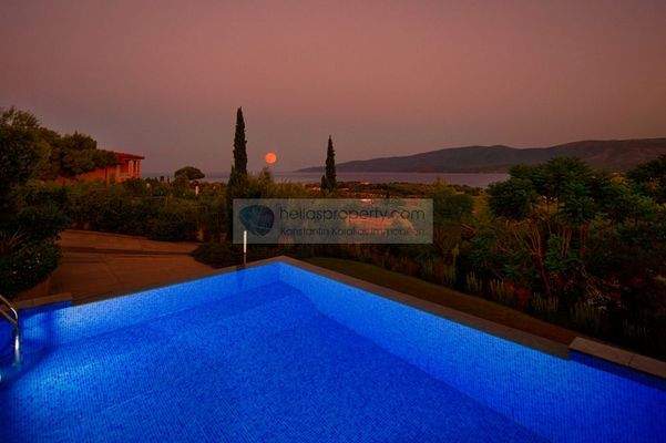 img_c4ba1a97-0b88-428e-ad5c-c2b59222f74a