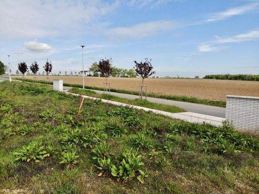 1684491646_NictjPLTB1