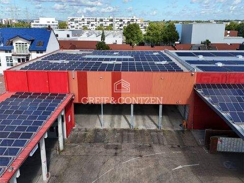 Hürth Halle, Hürth Hallenfläche