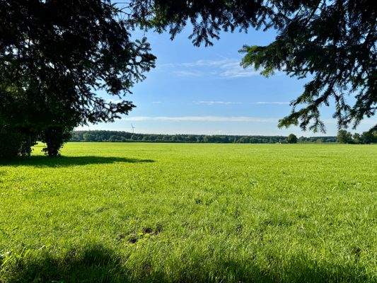 Südblick über Gartenzaun