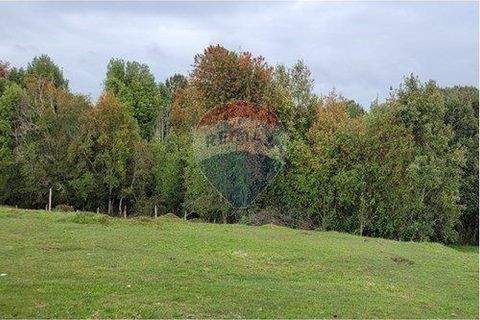 Maullin Büros, Büroräume, Büroflächen 