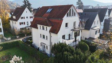 Heidelberg Häuser, Heidelberg Haus kaufen