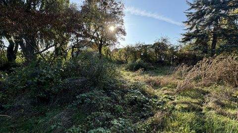 Biedermannsdorf Grundstücke, Biedermannsdorf Grundstück kaufen