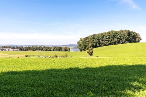 Henndorf am Wallersee Grundstücke, Henndorf am Wallersee Grundstück kaufen