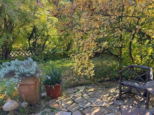 Sitzplatz im Garten