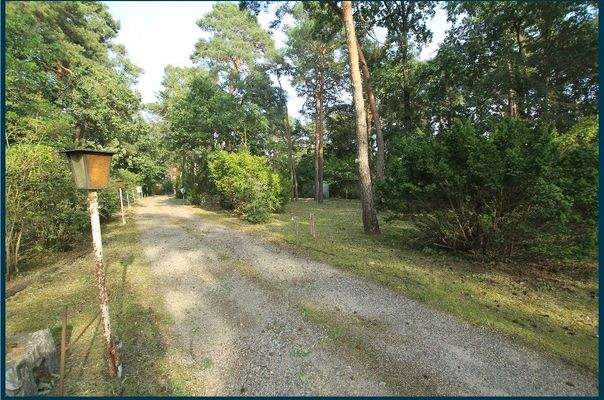 1917 die lange Zufahrt.jpg