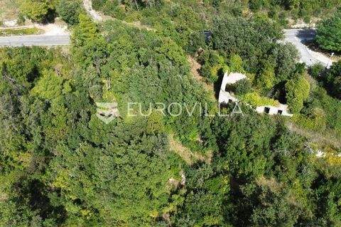 Orebic Bauernhöfe, Landwirtschaft, Orebic Forstwirtschaft